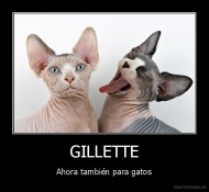 GILLETTE - Ahora también para gatos