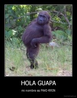 HOLA GUAPA - mi nombre es PAKI-RRIN