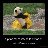La principal causa de la extinción   - es la indiferencia femenina