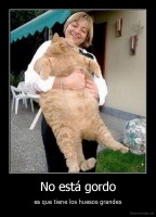 No está gordo - es que tiene los huesos grandes
