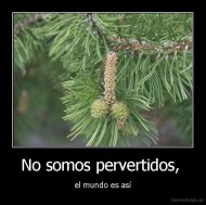 No somos pervertidos,  - el mundo es así