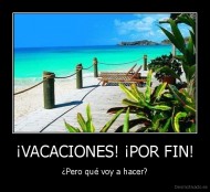 ¡VACACIONES! ¡POR FIN! - ¿Pero qué voy a hacer?