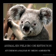 ANIMAL EN PELIGRO DE ESTINCION - AYUDEMOS A SALVAR SU MEDIO AMBIENTE 