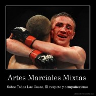 Artes Marciales Mixtas  - Sobre Todas Las Cosas, El respeto y compañerismo 