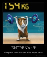 ENTRENA - T - Si se puede, un esfuerzo mas es un fracaso menos