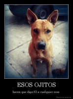 ESOS OJITOS - hacen que diga SI a cualquier cosa 