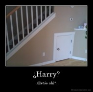 ¿Harry? - ¿Estás ahí?