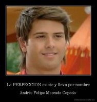 La PERFECCION existe y lleva por nombre - Andrés Felipe Mercado Cepeda 
