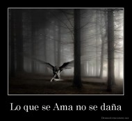 Lo que se Ama no se daña - 