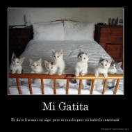 Mi Gatita - Es duro fracasar en algo, pero es mucho peor no haberlo intentado.