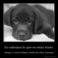 No sabemos lo que es estar triste, - aunque a veces lo hemos estado sin saber el porque
