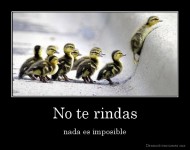No te rindas - nada es imposible