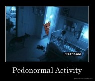 Pedonormal Activity - 