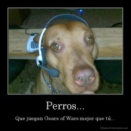 Perros... - Que juegan Gears of Wars mejor que tú...