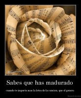 Sabes que has madurado  - cuando te importa mas la letra de la cancion, que el genero.