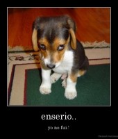 enserio.. - yo no fui.!