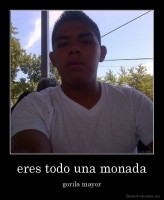 eres todo una monada - gorila mayor
