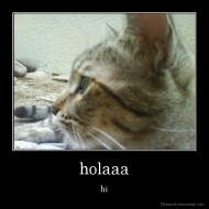 holaaa - hi
