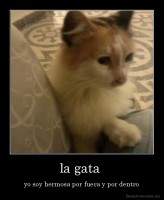 la gata  - yo soy hermosa por fuera y por dentro