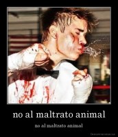 no al maltrato animal - no al maltrato animal