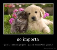 no importa  - que seas blanco o negro perro o gato solo hay que tener igualdad 