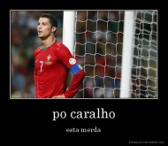 po caralho - esta merda