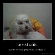 te extraño - me dejaste un gran vacio te adoro :'( 