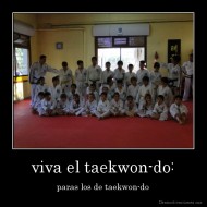 viva el taekwon-do: - paras los de taekwon-do