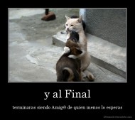 y al Final - terminaras siendo Amig@ de quien menos lo esperas