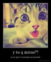 y tu q miras?? - yo se que te encanta mi mirada