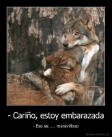 - Cariño, estoy embarazada - - Eso es .... maravilloso