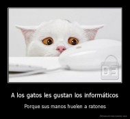 A los gatos les gustan los informáticos - Porque sus manos huelen a ratones