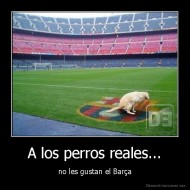 A los perros reales... - no les gustan el Barça