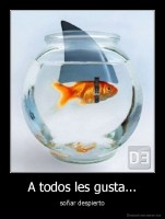 A todos les gusta... - soñar despierto