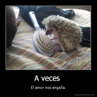 A veces  - El amor nos engaña.
