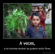 A veces, - a los hombres también les gustaría recibir flores.