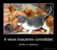 A veces buscamos comodidad - donde no debemos
