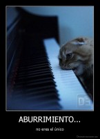 ABURRIMIENTO... - no eres el único