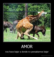 AMOR - nos hace bajar a donde no pensabamos bajar