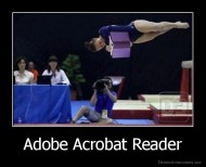 Adobe Acrobat Reader - 