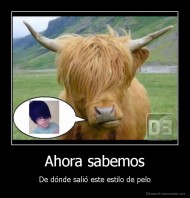 Ahora sabemos - De dónde salió este estilo de pelo