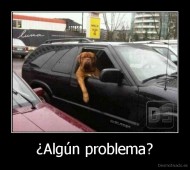 ¿Algún problema? - 