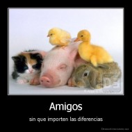Amigos - sin que importen las diferencias