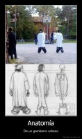 Anatomía - De un gamberro urbano