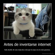 Antes de inventarse internet - Todo dueño de una mascota creía que la suya era la más graciosa.