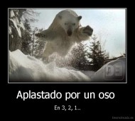 Aplastado por un oso  - En 3, 2, 1..