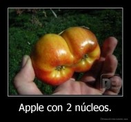 Apple con 2 núcleos. - 