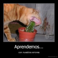 Aprendemos... - con nuestros errores