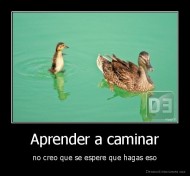 Aprender a caminar - no creo que se espere que hagas eso