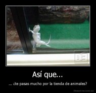 Así que... - ... ¿te pasas mucho por la tienda de animales?